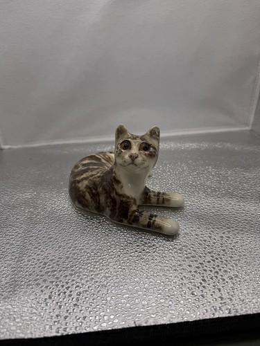 Winstanley tabby cat laying - cat, in