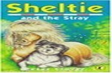 Sheltie 12: Sheltie and the