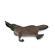 CollectA Platypus