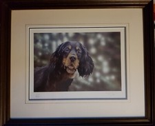 Gordon Setter dog ltd edition