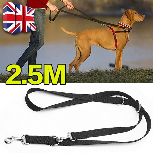 Adjustable control dog lead - dog,