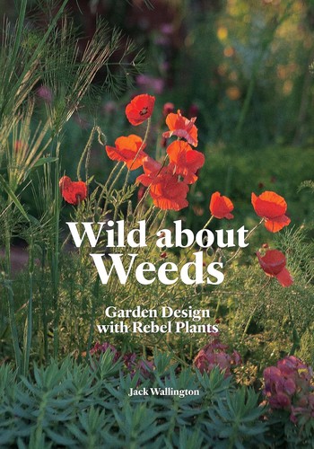 Wild about weeds garden - wild,
