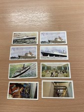 Primrose Queen Elizabeth 2