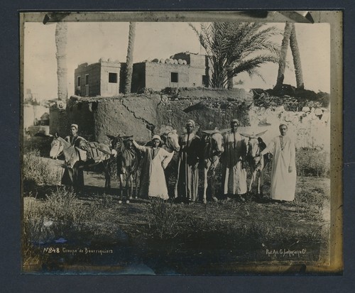 1905 donkey boys - boys,, egypt