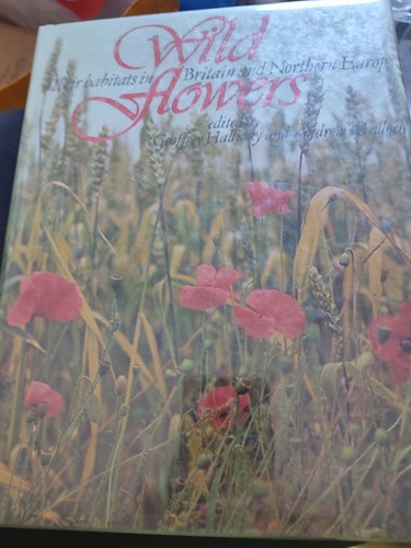Wild flowers their habitats - , in