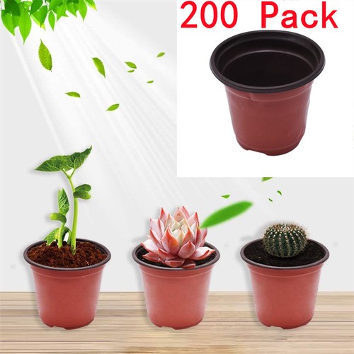 200 pack 15cm - 200, flowers