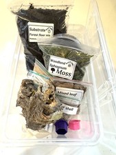 Isopod Woodlice invert Starter Kit , Box  1.3 Litre Enclosure, Complete set Up.