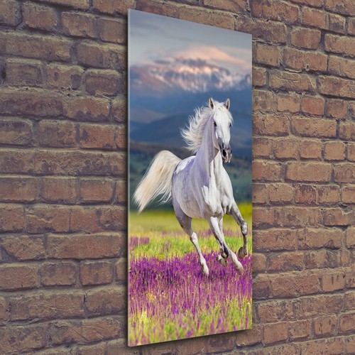 Wall art print perspex - wall,