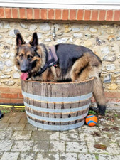 LARGE Watertight 100%