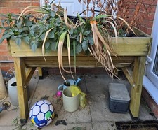 VegTrug Cedar Wood 1m Wall Hugger Planter with  Frame & Cover