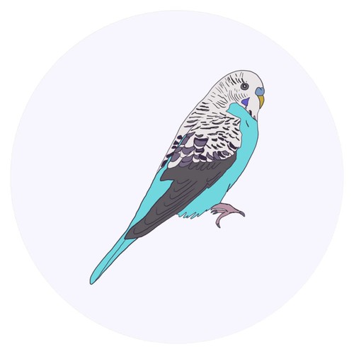 Blue budgie stickers - budgie',