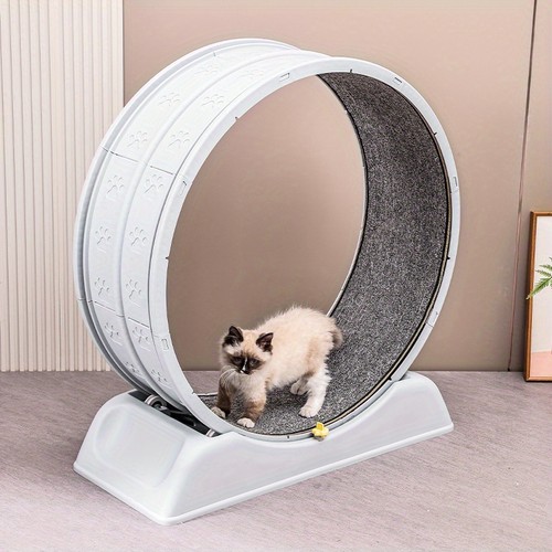 Cat running exercise wheel - cat,