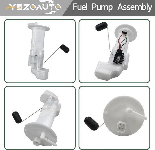 Fuel pump assembly for - fuel,