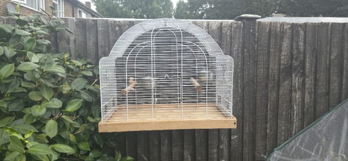 Parakeet cockatiel cage - or,