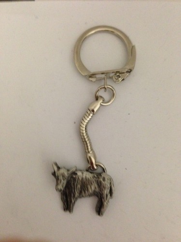 Highland cow r75 english - cow,