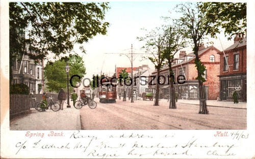 1903 hull spring - hull, tinted