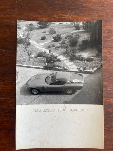 Alfa romeo 1600 kangaroo - alfa,