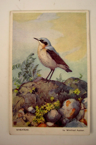 Vintage artist postcard - vintage,