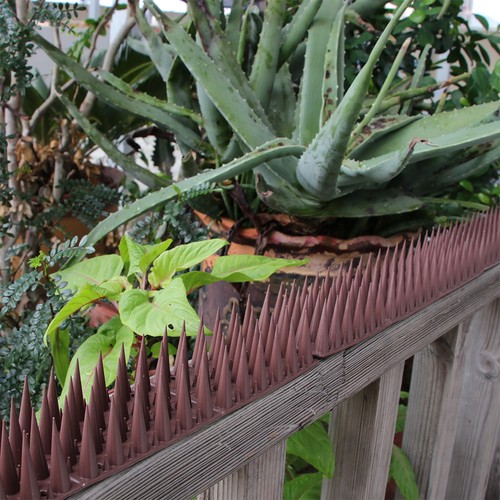 Humane plastic bird spikes - humane,