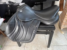 fairfax black spirit