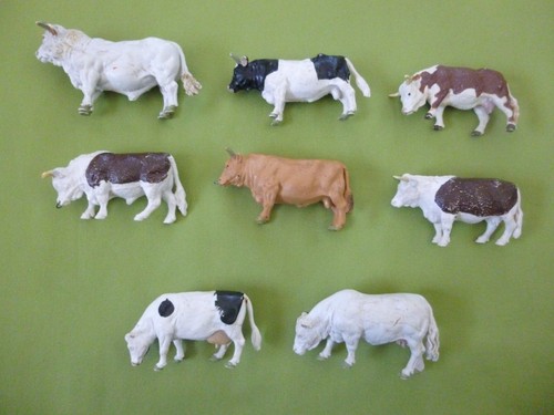 Bulls cows britains - &,