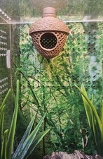 Jumping spider  Acorn hide in lace & fuzzy texture Attaches to top of enclosure 