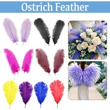 35-30cm/50-60cm Large Ostrich