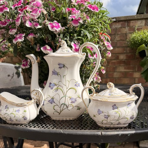 Spode campanula coffee - campanula,