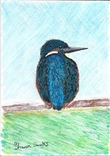 Kingfisher Colour Pencil