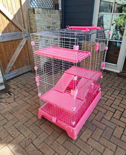 Pink white tier - pink, &