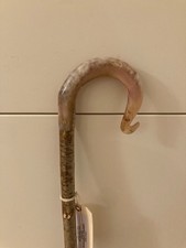 Rams Horn Shepherds Crook Walking