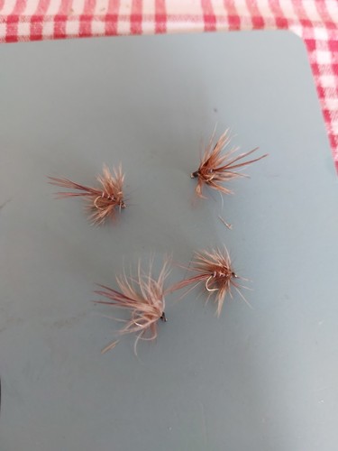 French partridge mayfly - french, size