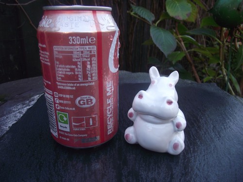 Cute little white - little,
