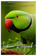 Indian ringneck parakeet a - indian, parakeet: