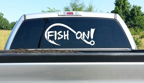 Large fish bass fishing - on,