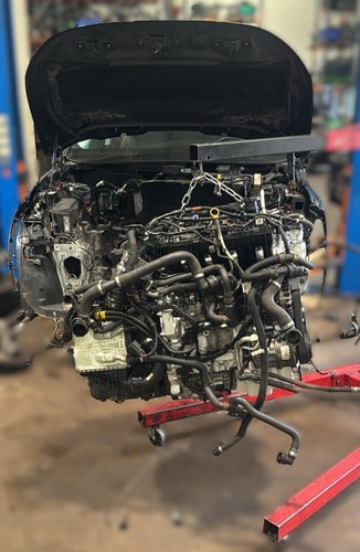 Ford mondeo hatchback tdci - ford,