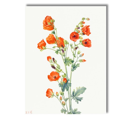 Canvas wall art - wall, picture