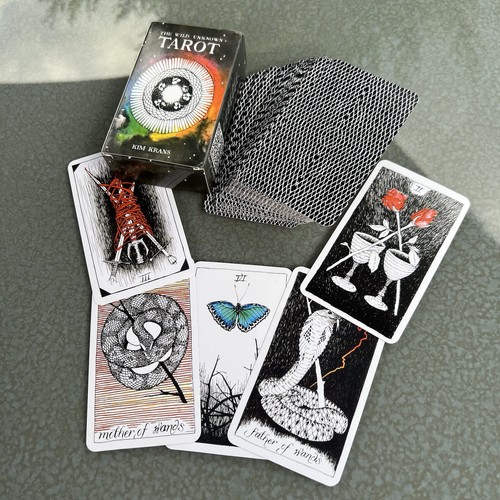 The wild unknown tarot - wild,