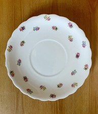 Plant Tuscan  bone china