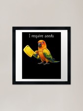Funny Sun Conure Parrot