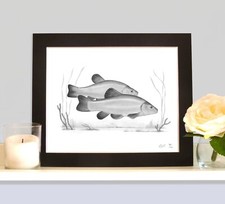 TENCH Art Drawing Print