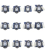 Masonic Blue Lodge Officer