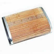 Oval Air Filter Element