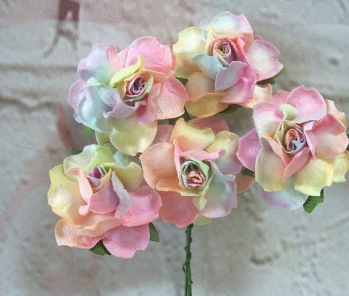 Mulberry paper roses - x,
