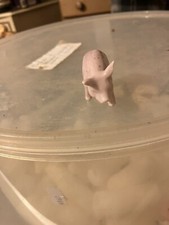 Unknown Walking Pig Figurine 