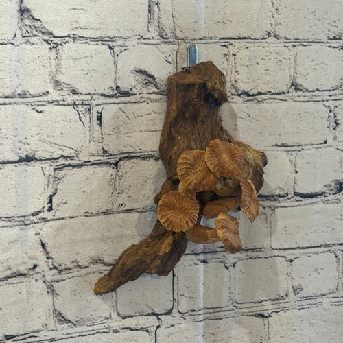 20cm flat top - 20cm, art
