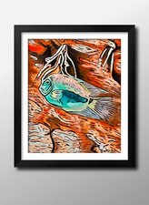 Title the uaru cichlid - title:,