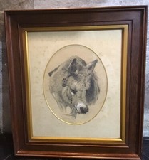 Victorian 19th Cent. Pencil Drawing Of Donkey Glazed In Solid WoodFrame Original