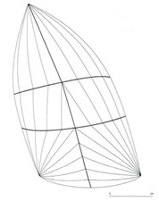 Asymmetric Spinnaker 60.81 Sqm