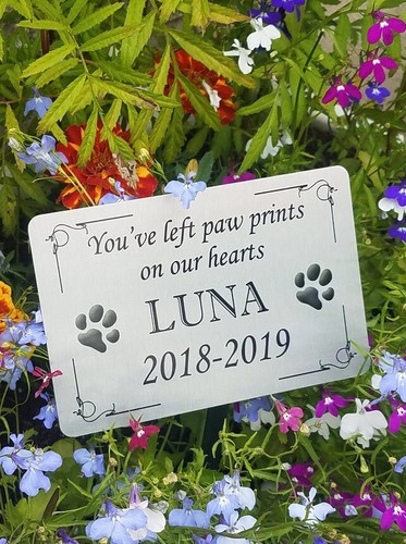 Pet memorial stake grave tree - memorial,